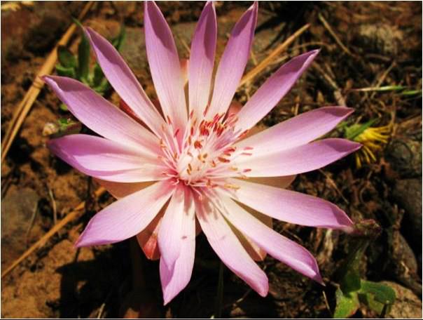 562290_4114160462116_1525577980_n